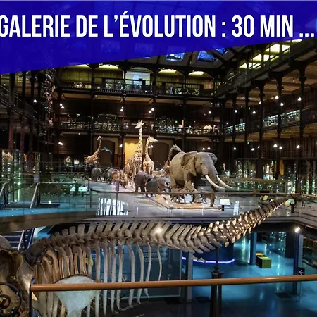 Trendy Flat 2 Bedroom With Rooftop Views Parigi